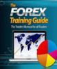 Thumbnail The Forex Guide  Trainning 
