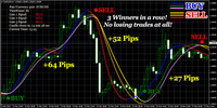 Thumbnail Forex Triple Profit Winner MT4 2014