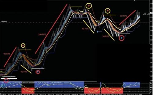 Product picture Forex Best Trading system 100 pips Monthly