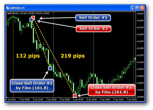 Product picture Forex 1000 Pips