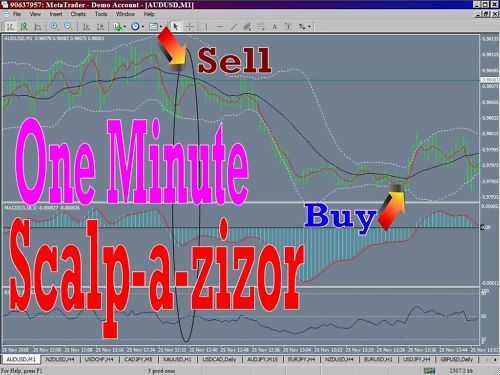 Product picture My One Minute Scalp System 