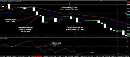 Product picture Forex profitable system  