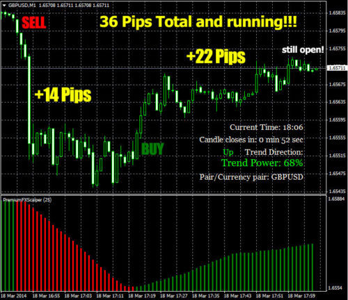 Product picture FX Premium FX Scalper