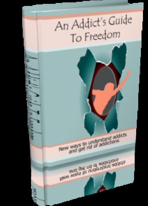 Product picture  Addicts Guide To Freedom