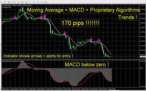 Product picture Forex INDICATOR System best Proprietary